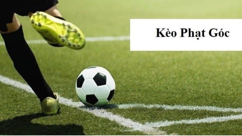 Kèo góc là gì? Các loại kèo và mẹo soi kèo chuẩn xác 2 Kèo góc dễ đoán trả thưởng lớn
