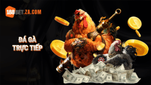 Đá gà trực tiếp